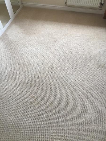 Taunton Carpet Cleaning Services