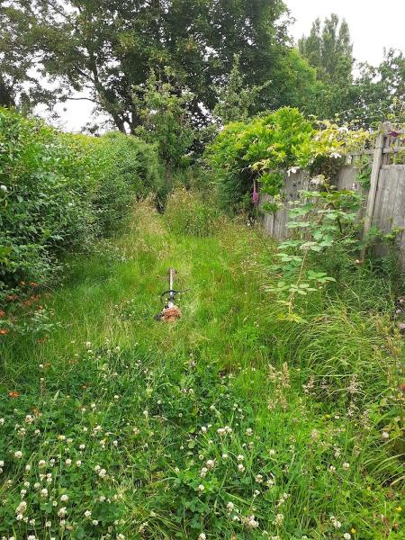 Natural Touch Gardening