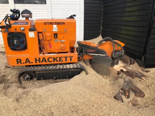 R A Hackett- Lincs Tree Care