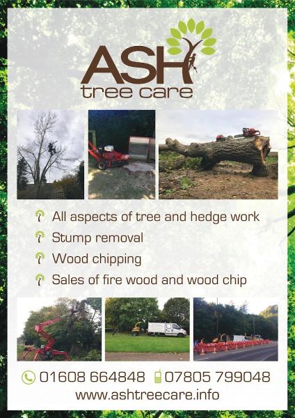 Ash Tree Care
