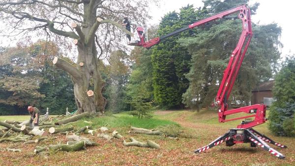 Lincolnshire Tree Services