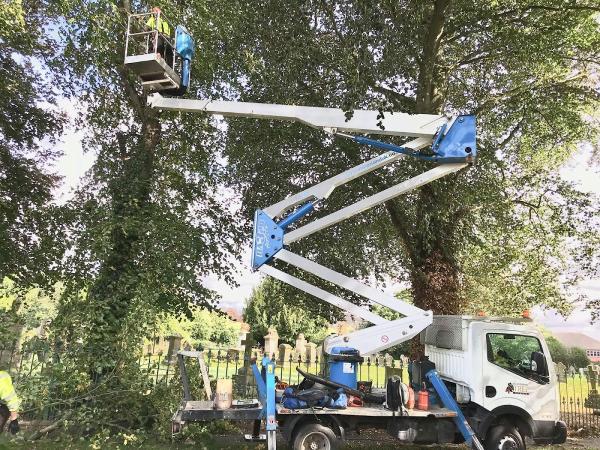 Lincolnshire Tree Services