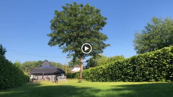 First Class Tree Surgeons