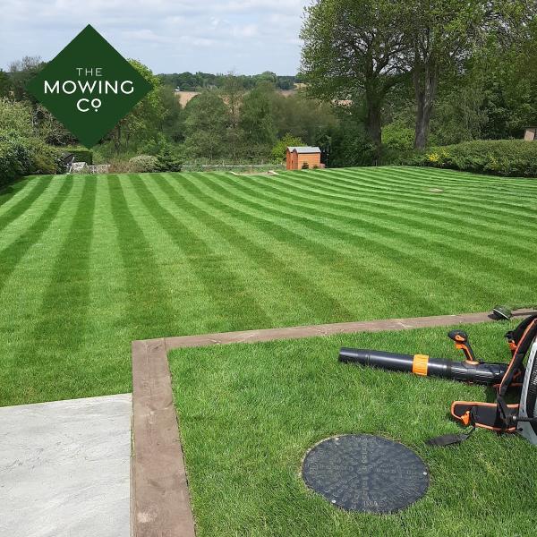 The Mowing Co