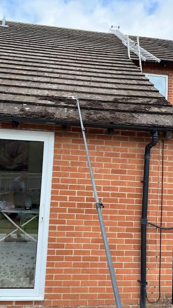 Billy Crystal Window Cleaning