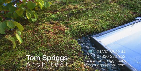 Tom Spriggs Architect