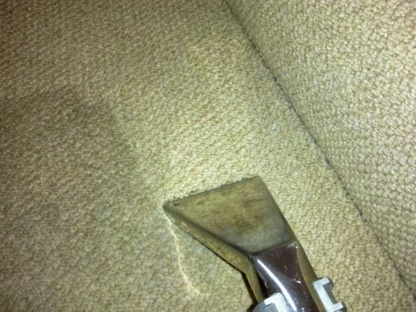Arena Cleaning Services
