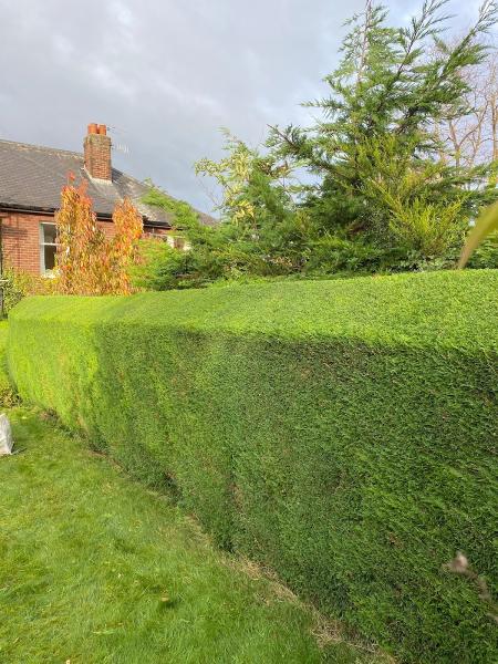 Matthews Garden Care