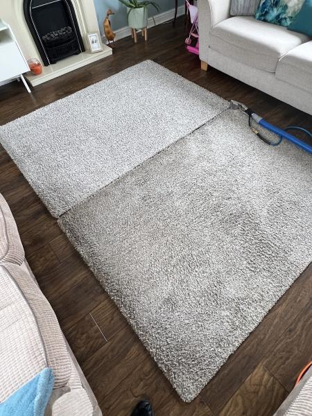 Bounce Back Carpets