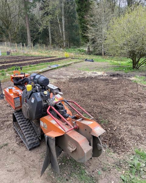 Granite City Stump Grinding