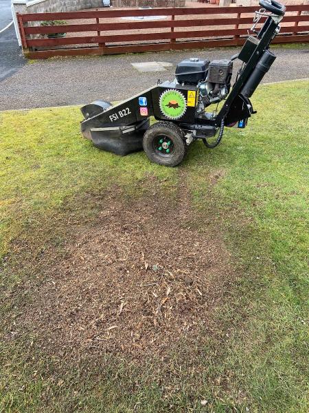 Granite City Stump Grinding