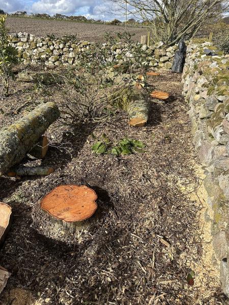 Granite City Stump Grinding