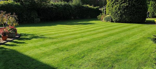 Lawn Therapy