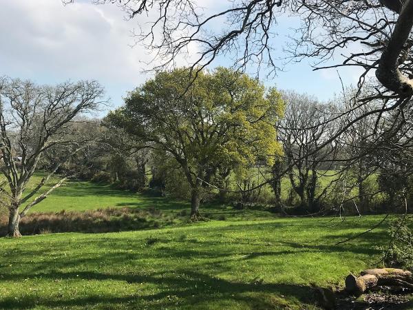 Eryri Arboriculture and Consultancy