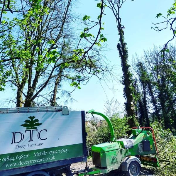 Devey Tree Care Ltd.