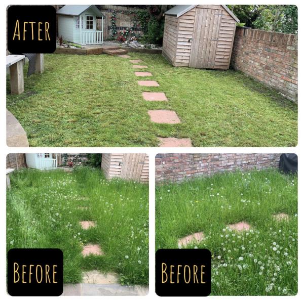 Braintree Garden Maintenance