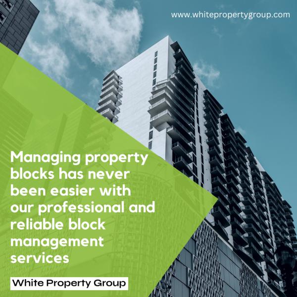 The White Property Group