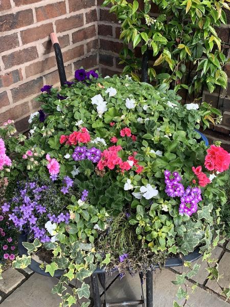 Gardencare2000