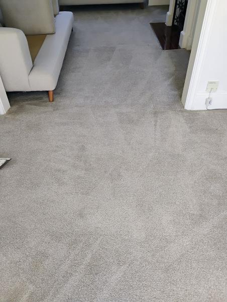 Norwich Carpet Cleaning & Upholstery