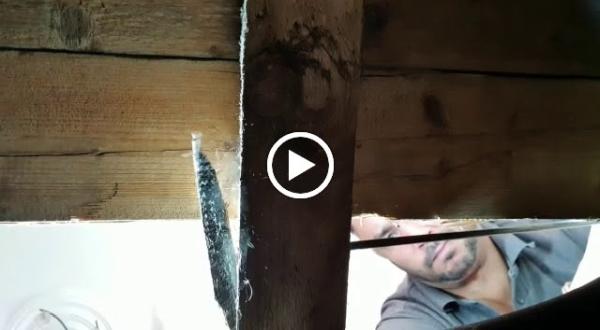 Dryfix Preservation Ltd