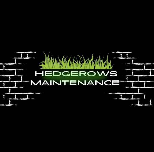 Hedgerows Maintenance