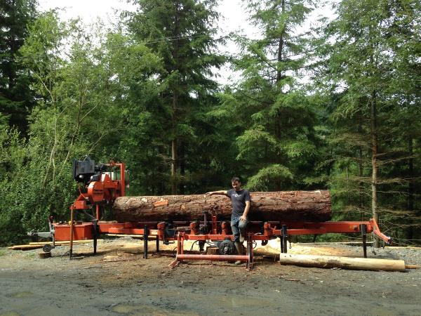 Jules Russell Timber