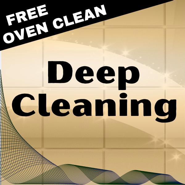 Pink Ladies Cleaning Services