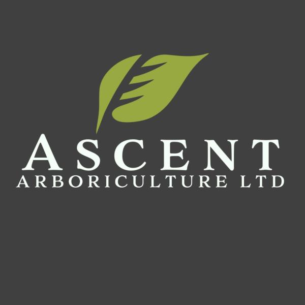 Ascent Arboriculture Ltd
