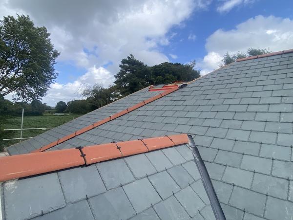 East Devon Roofing Ltd