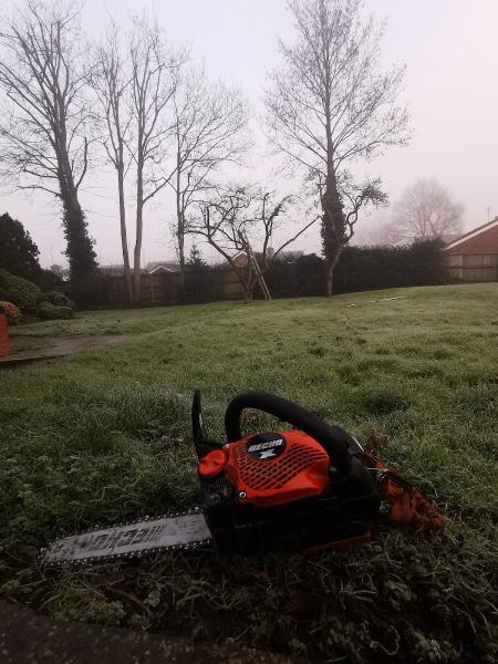 Goddards Tree Care Ltd