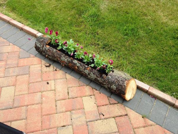 Lukes Logs