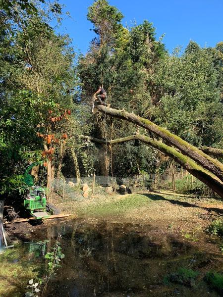 Cutting Edge Tree Care