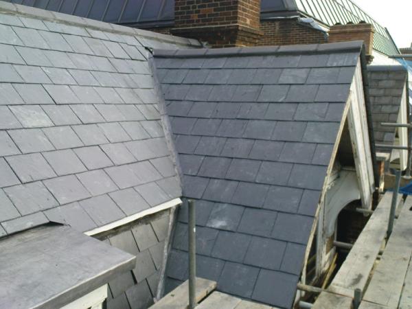 C & D Roofing & Property Maintenance Ltd