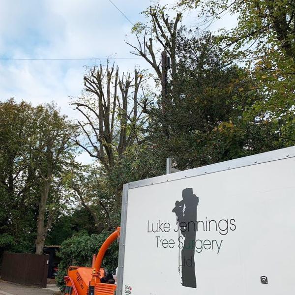 Luke Jennings Tree Surgery Ltd