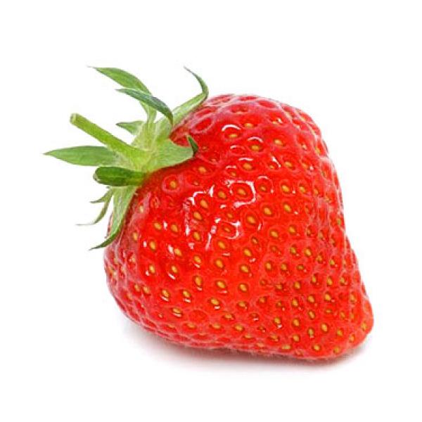 Strawberry Garden Services