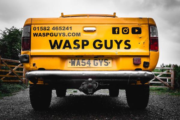 Wasp Guys