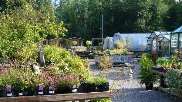 Carr Bank Garden Centre