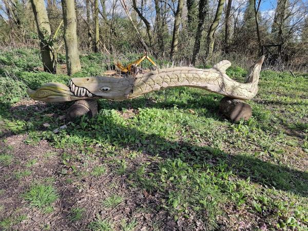 Maple Tree Surgery & Landscapes Ltd