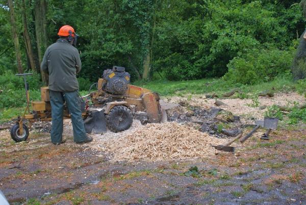 Acacia Tree Services