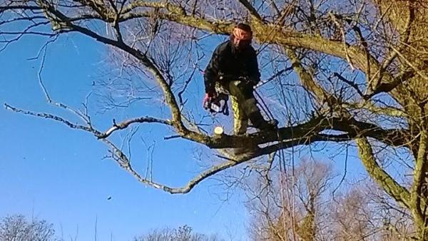 Aspect Tree and Garden Services