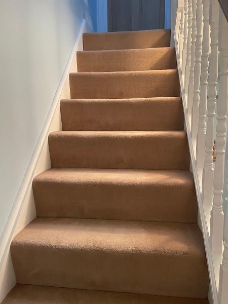 THE Carpet Crew Professional Carpet Cleaning Greenwich
