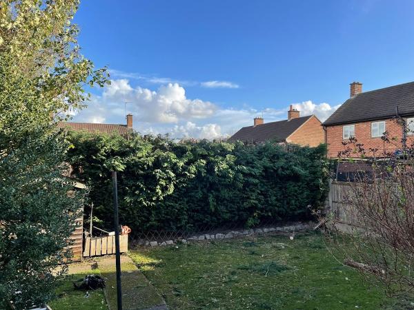 Sharps Tree Care (Derby)