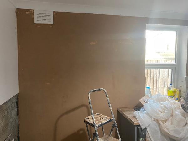 Apex Damp & Wall Ties Specialists