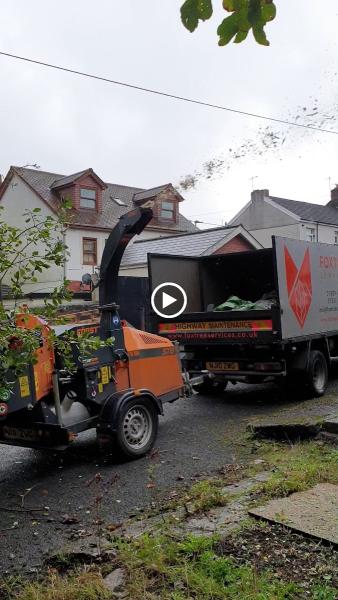 Fox Tree Services