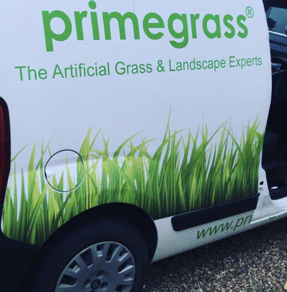 Prime Grass