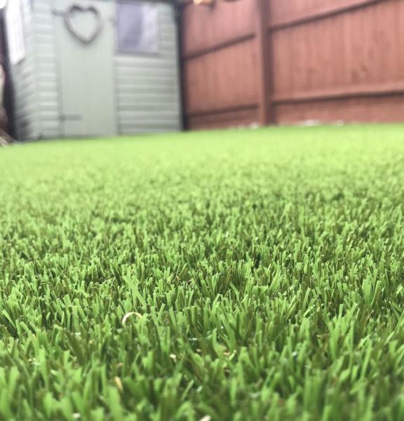 Prime Grass
