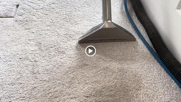 Empire Carpet Cleaning Services