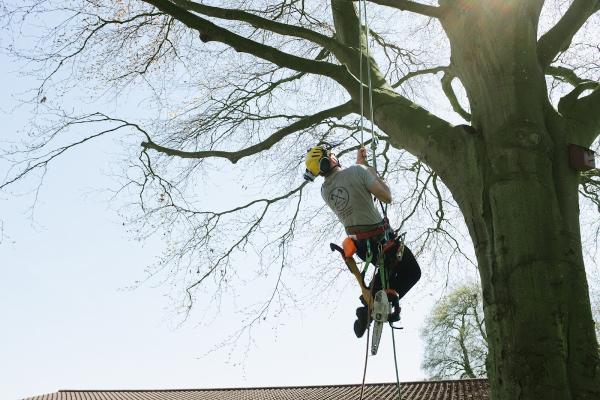 Howe Tree Surgery Ltd