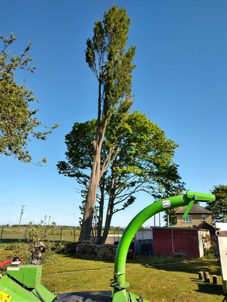 Scunthorpe Tree Surgeons
