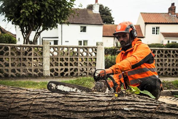 Urban Arborist